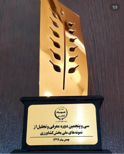 افتخارات